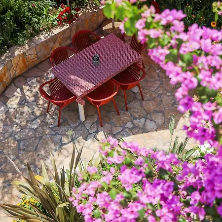 Goga Holiday home *